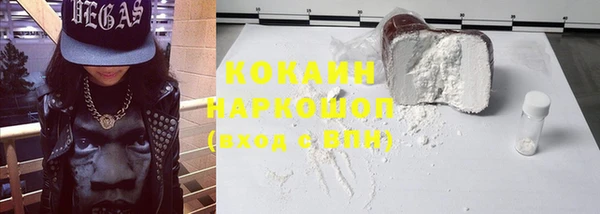 молекула духа Новозыбков